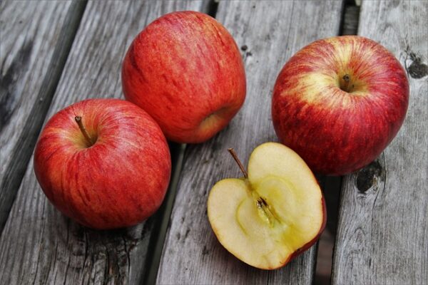 Gala Apple Tree (Malus domestica 'Gala')