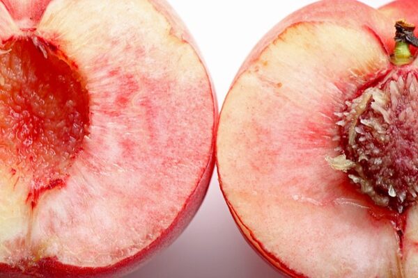 Indian Blood Peach Tree (Prunus Persica 'Indian Blood Cling Peach') - Image 3