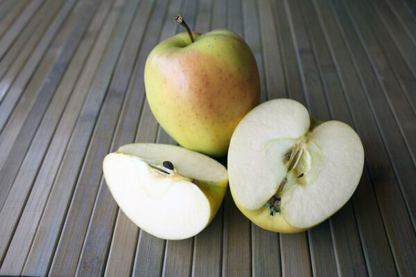 Dorsett Golden Apple Tree (Malus domestica 'Dorsett Golden')