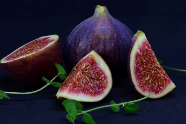 Black Mission Fig Tree (Ficus carica 'Black Mission')
