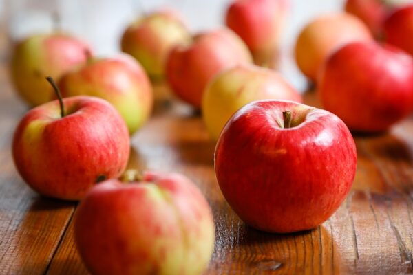 McIntosh Apple Tree (Malus domestica 'McIntosh') - Image 3
